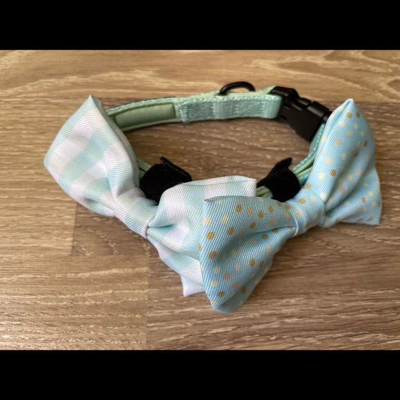 Cavology Dog bundle - Picture 3 of 3